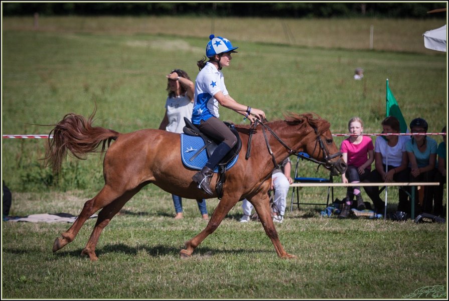 Mounted Games 330